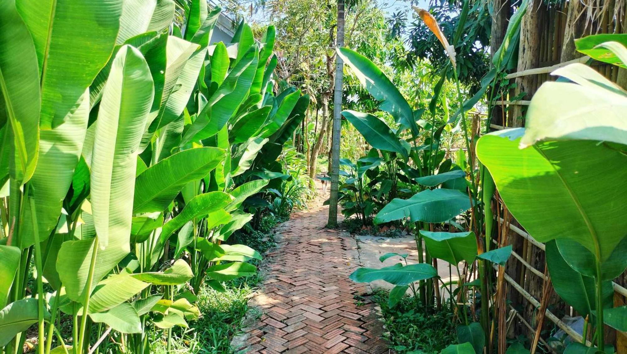 Urban Farmhouse Sziemreap Kültér fotó