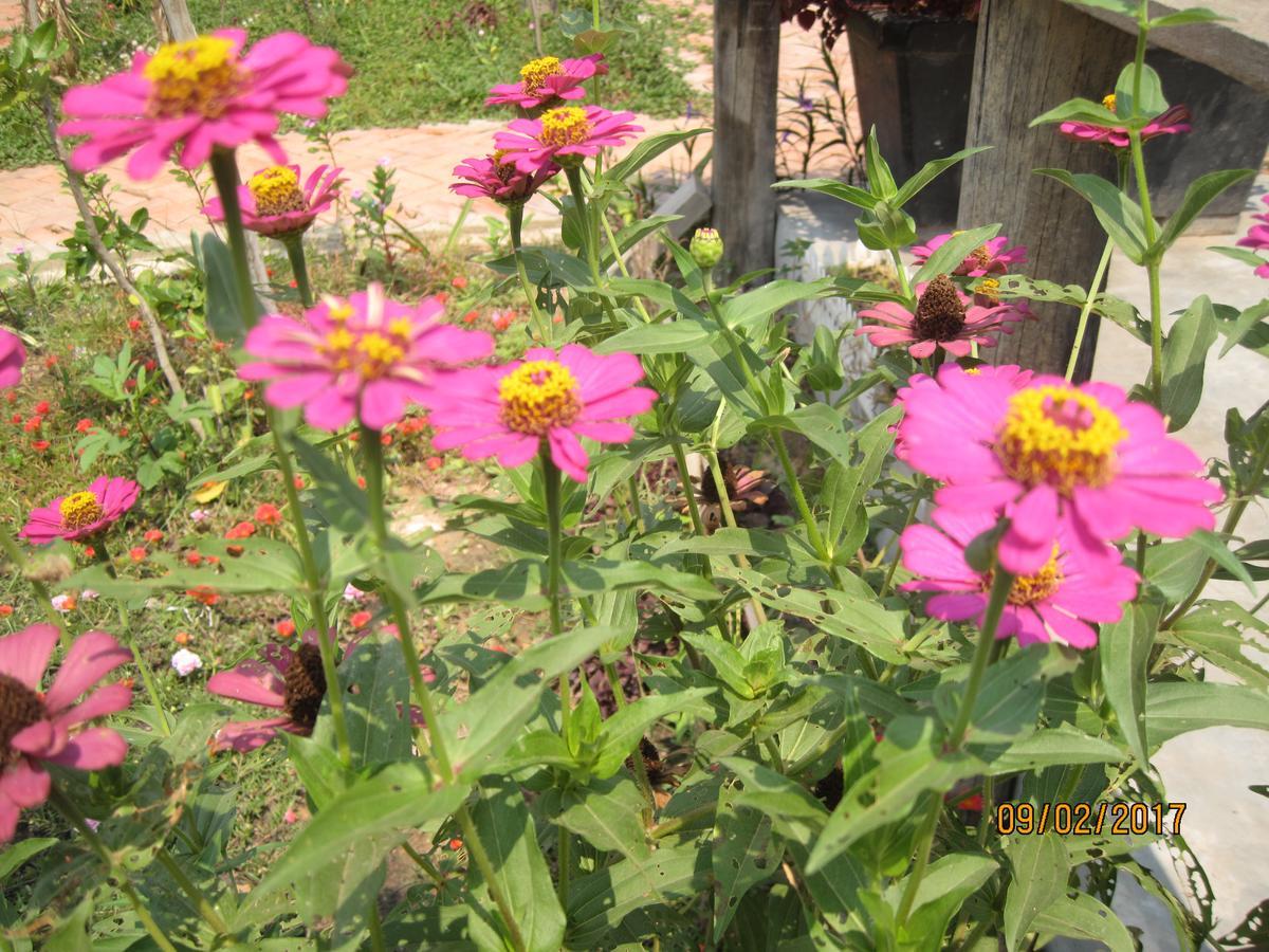 Urban Farmhouse Sziemreap Kültér fotó